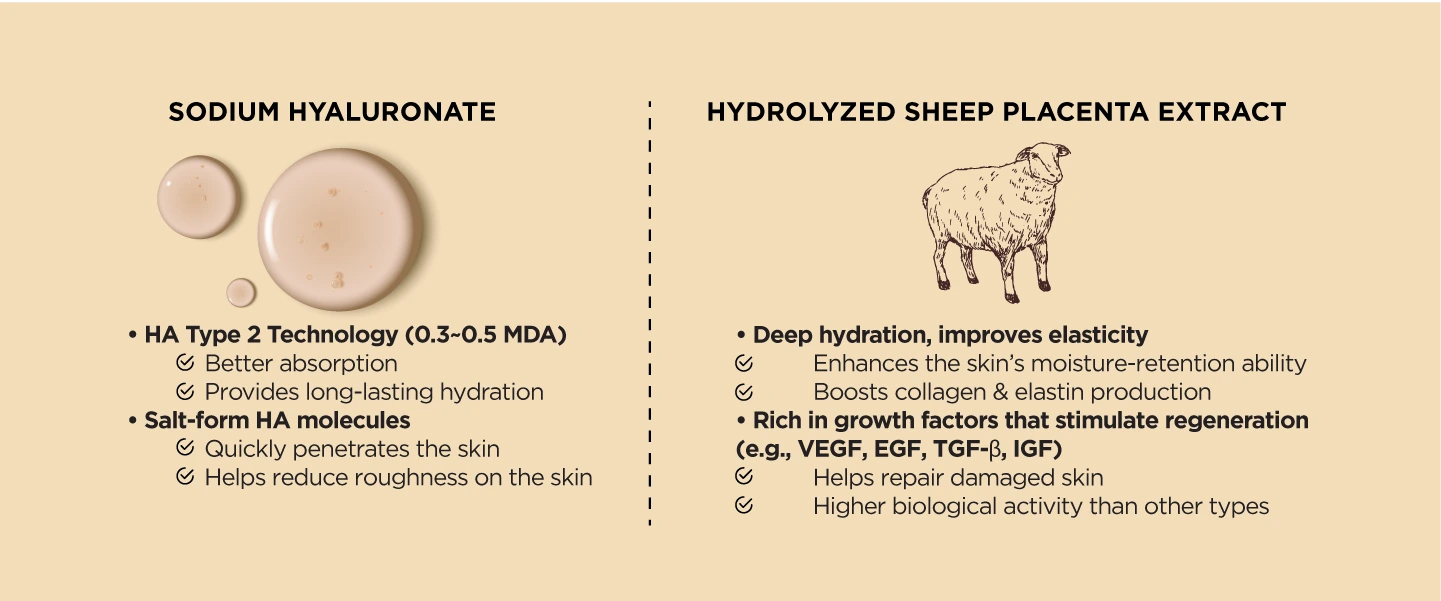 Product ingredients with sodium hyaluronate and hydrolyzed sheep placenta extract to hydrate, improve elasticity, and support skin repair