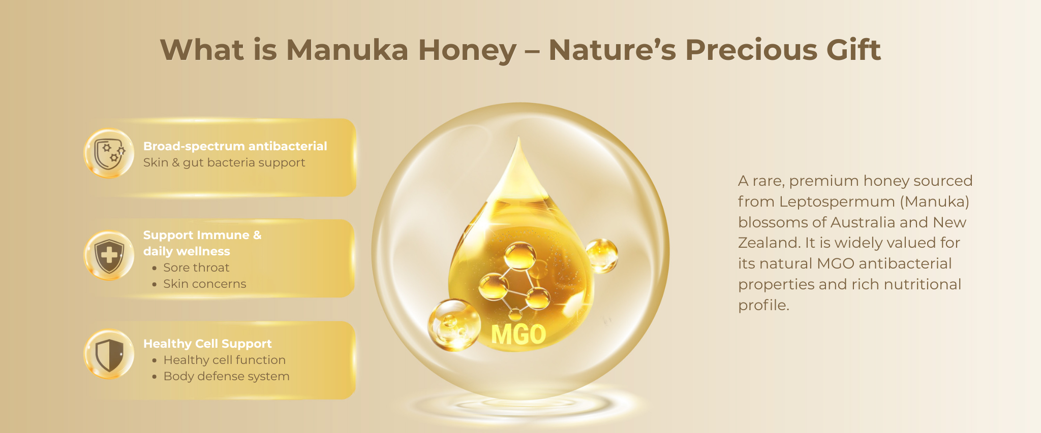 Faroson Manuka Honey information and benefits: broad-spectrum antibacterial, support immune, and healthy cell support. 